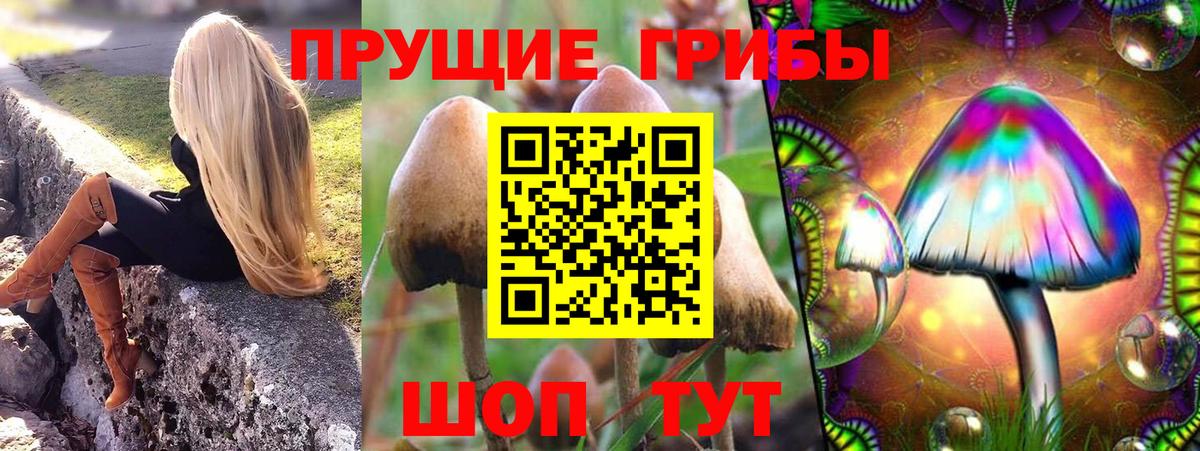 Галлюциногенные грибы мухоморы Астрахань