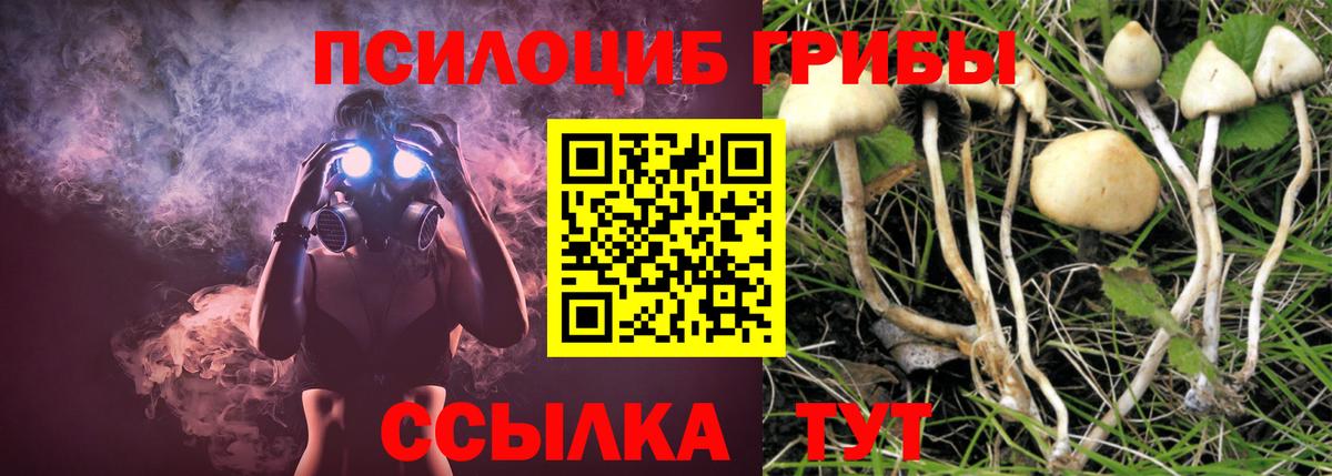 Астрахань  Псилоцибиновые грибы Psilocybine cubensis  Галлюциногенные грибы MAGIC MUSHROOMS  Вход с VPN 